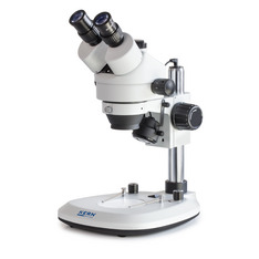 Stereomicroscopio zoom KERN OZL 464