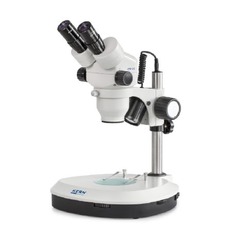 Stereomicroscopio zoom KERN OZM 541